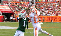 Mike Evans