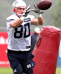 Danny Amendola